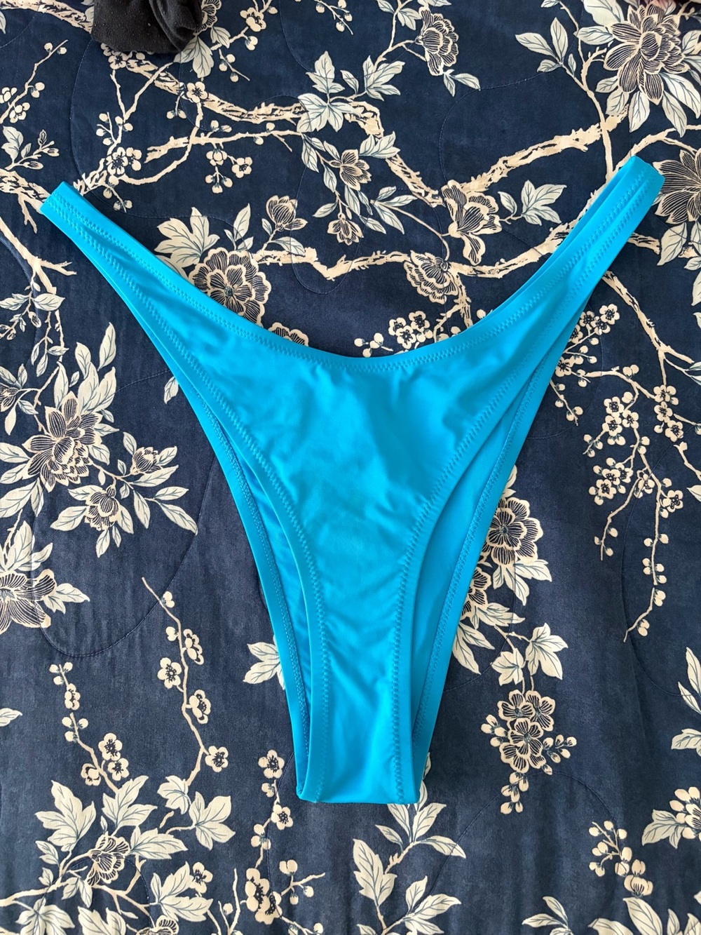 SKIMS Blue Bikini Bottom